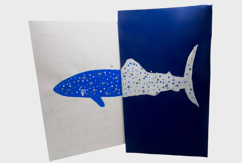 Whale shark